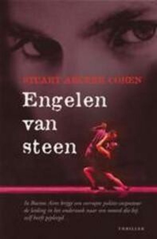 Cover van het boek 'Engelen van steen'