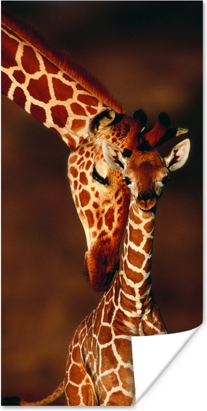 Affiche Girafe - Veau - Portrait - 80x160 cm