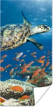 Poster Koraalrif met schildpad - 80x160 cm