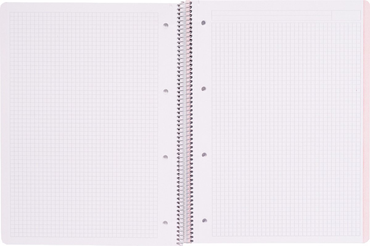 Miquelrius Notitieboek A4, 4 gekleurde strepen, geruit 5 x 5 mm, 120 vellen 70 g/m², spiraalbinding, geruit, collectie roze-grijs, design gestreept