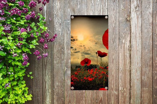 Poster jardin Coquelicots le soir - 40x80 cm - Décoration murale extérieur - Poster jardin - Toile jardin - Poster clôture - Tableau jardin
