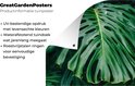 Product afbeelding  8
