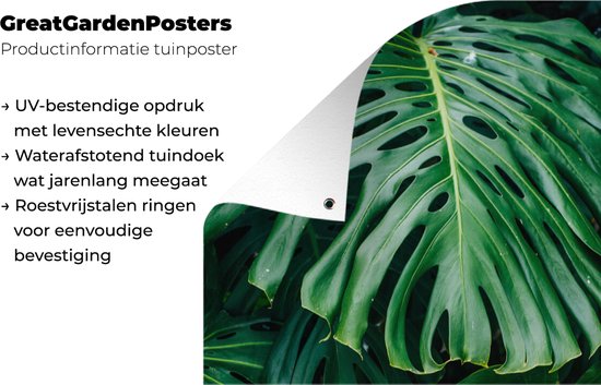 Tuinposter 30x60 cm - Tuindecoratie Donkergroene botanische bladeren in een tuin - Poster voor in de tuin - Buiten decoratie - Schutting tuinschilderij - Tuindoek muurdecoratie - Wanddecoratie balkondoek
