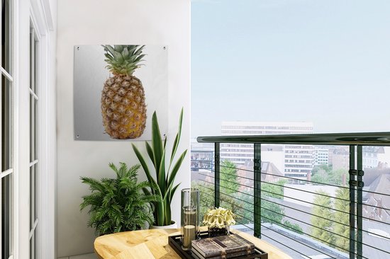 Posters de jardin Ananas - Fruit - Wit - 50x50 cm - Toile de jardin - Affiche extérieure
