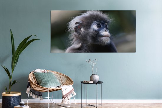 Canvas schilderij 160x80 cm - Wanddecoratie Apen - Dieren - Natuur - Muurdecoratie woonkamer - Slaapkamer decoratie - Kamer accessoires - Schilderijen