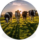 WallCircle - Tableau - Vache Soleil Herbe Et Xxl - Multicolore - 120 X 120 Cm