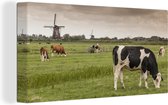 Canvas Schilderij Koeien in het gras met windmolens in Amsterdam - 80x40 cm - Wanddecoratie