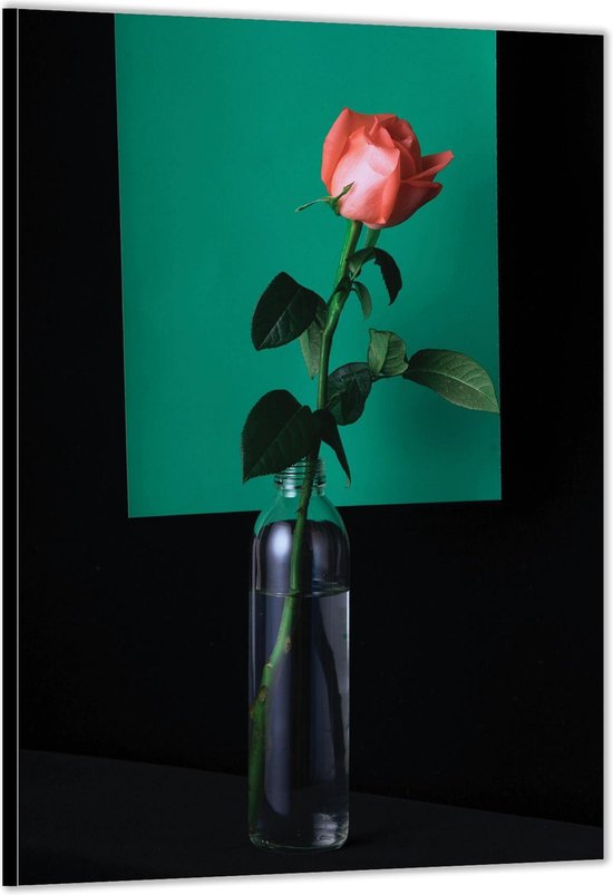 Dibond –Abstracte Roos– 100x150cm Foto op Aluminium (Met Ophangsysteem)