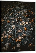Dibond –Herfstbladeren in het Bos– 60x90cm Foto op Aluminium (Met Ophangsysteem)