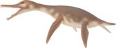 Collecta Prehistorie (M): DOLICHORHYNCHOPS 12.2x7.2x2.5cm