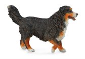 Collecta Honden Berner Sennenhond 10,5 X 6,7 Cm