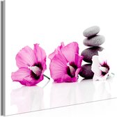 Schilderijen Op Canvas - Schilderij - Calm Mallow (1 Part) Wide Pink 90x60 - Artgeist Schilderij