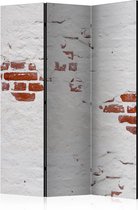 Kamerscherm - Scheidingswand - Vouwscherm - Stony Secret [Room Dividers] 135x172 - Artgeist Vouwscherm