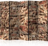 Kamerscherm - Scheidingswand - Vouwscherm - Ancient Wall II [Room Dividers] 225x172 - Artgeist Vouwscherm