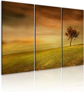 Schilderijen Op Canvas - Schilderij - Eenzame boom op een veld 120x80 - Artgeist Schilderij