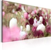 Schilderijen Op Canvas - Schilderij - Meadow of Tulips 120x80 - Artgeist Schilderij