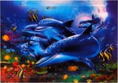 S.Y.W Poster - Dolfijnen - Multicolor
