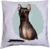 American Hairless Terrier pillow 40 x 40cm