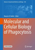 Advances in Experimental Medicine and Biology 1246 - Molecular and Cellular Biology of Phagocytosis