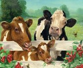 Diamond Painting - Dieren - Koeien - Complete set  - Afmeting  25 x 20 cm