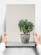 Wandbord: Moderne minimalistische vetplant - 30 x 42 cm