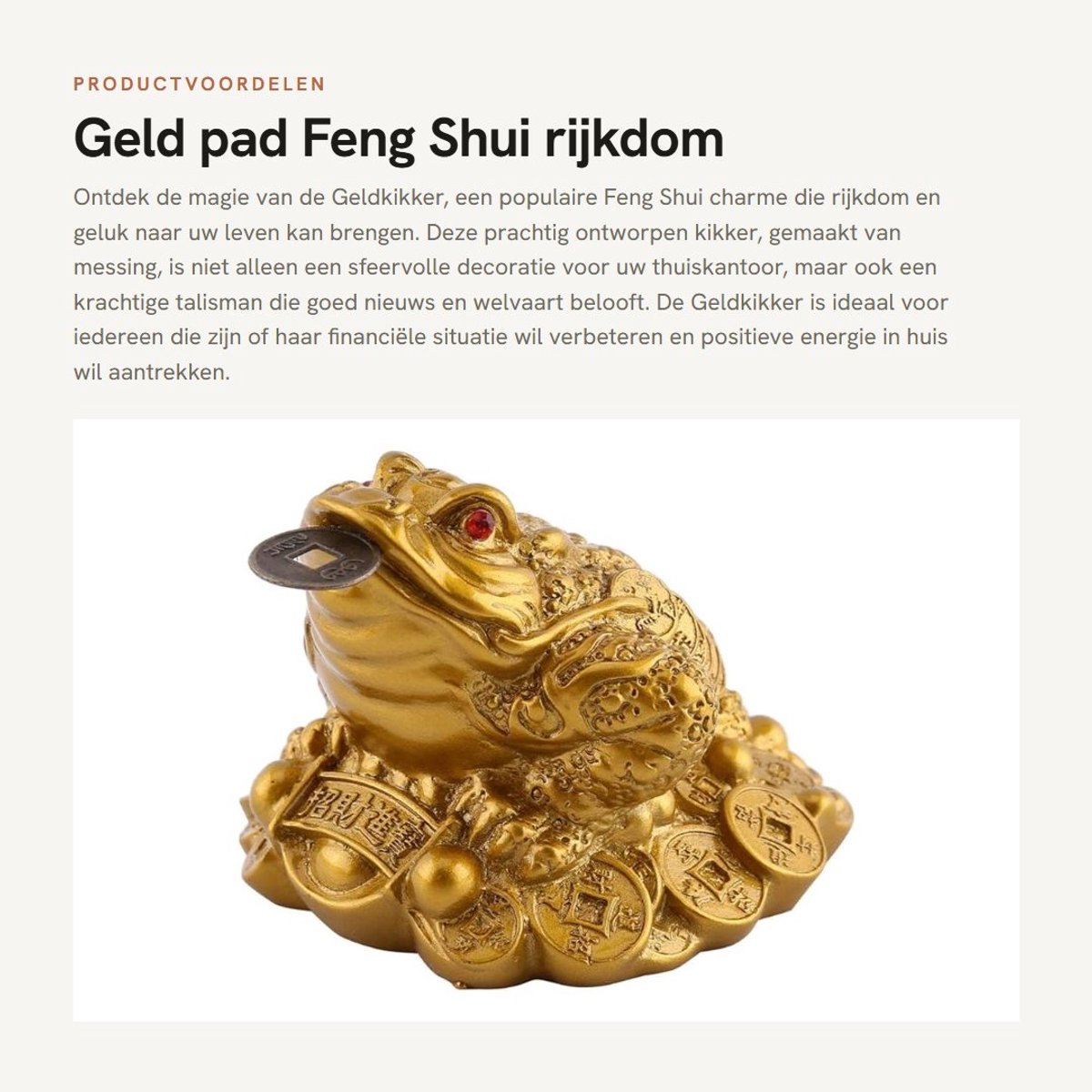 Dailygoods- Geldpad Feng Shui rijkdom - Geldkikker - Decoratie - Geluk - 6,5 x 6 x 5 cm - Beschermt tegen pech - Gelukskikker