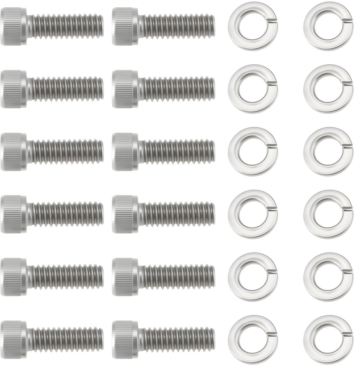 Dailygoods- Tuimeltapet 12x - Roestvrij Stalen Inspectieschroeven