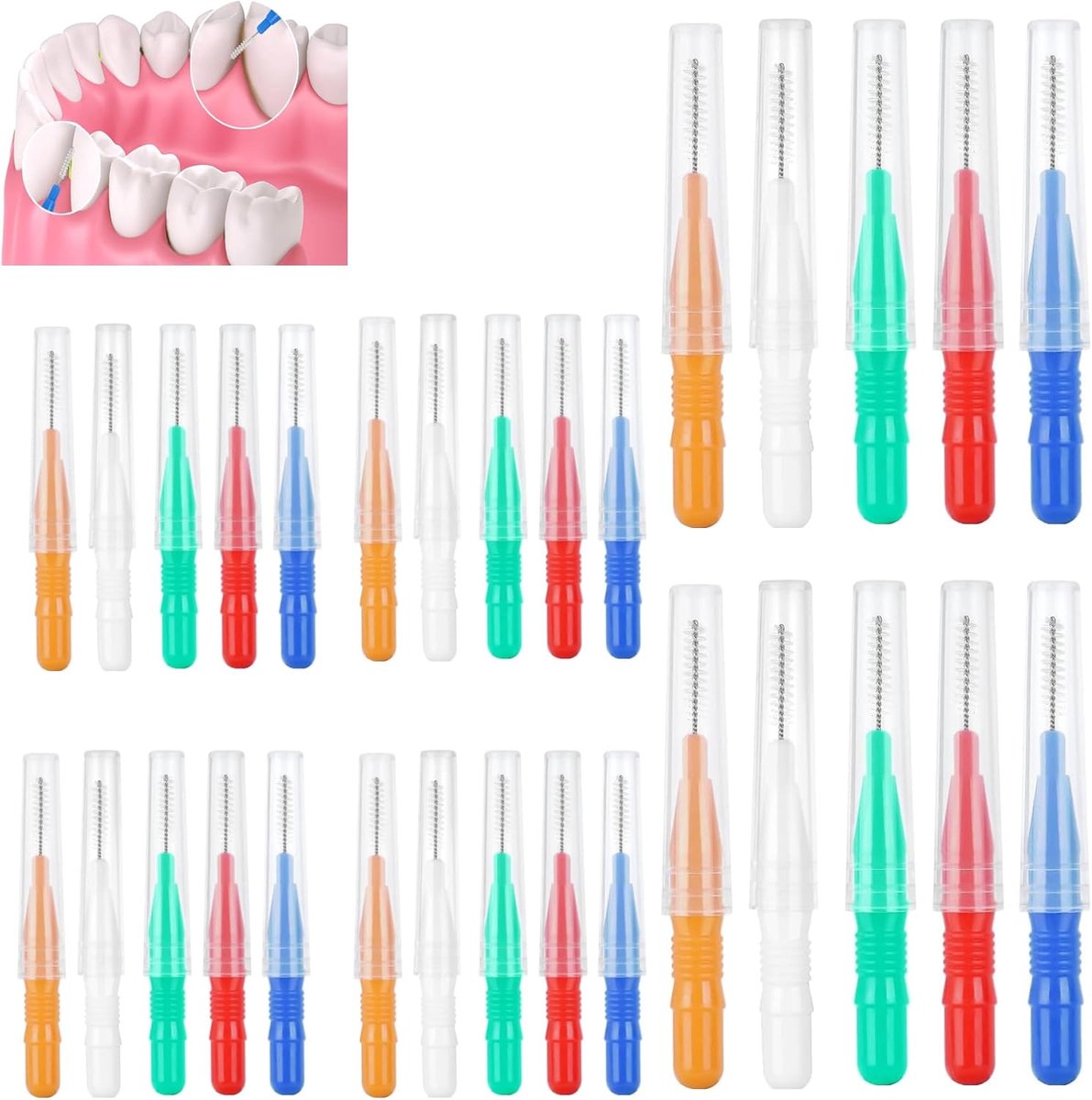 Interdentale Borstels - Tandenstokers Mondhygiëne - Tanden Reinigen - Zacht Flexibel - 24 Stuks - Meerdere Kleuren