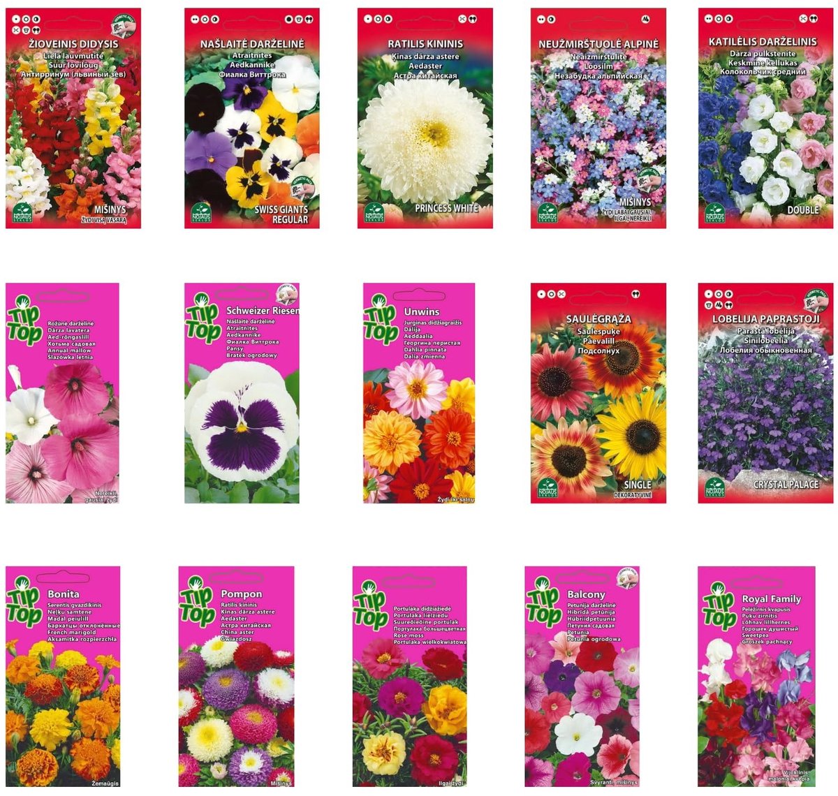 Dailygoods- Bloemzaad Set - 15 Soorten Eenvorige/Tweejarige Bloemen - Kleurrijke Wildbloemen - Onderhoudsvriendelijk - Ideaal Geschenk - Langdurige Bloei - Bloemzaden
