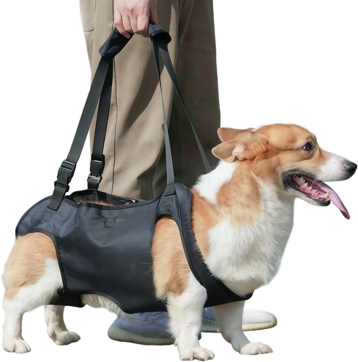 The CeyKvo dog harness with hind leg lifter and hip support and handles provides safety for disabled, injured or - ShopVlot
