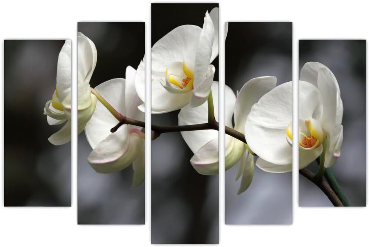 AREDE Set of 5 Wall Art Painting Picture Poster White Flowers (120X80cm) Home Office Wall Decoration Living Room - ShopVlot