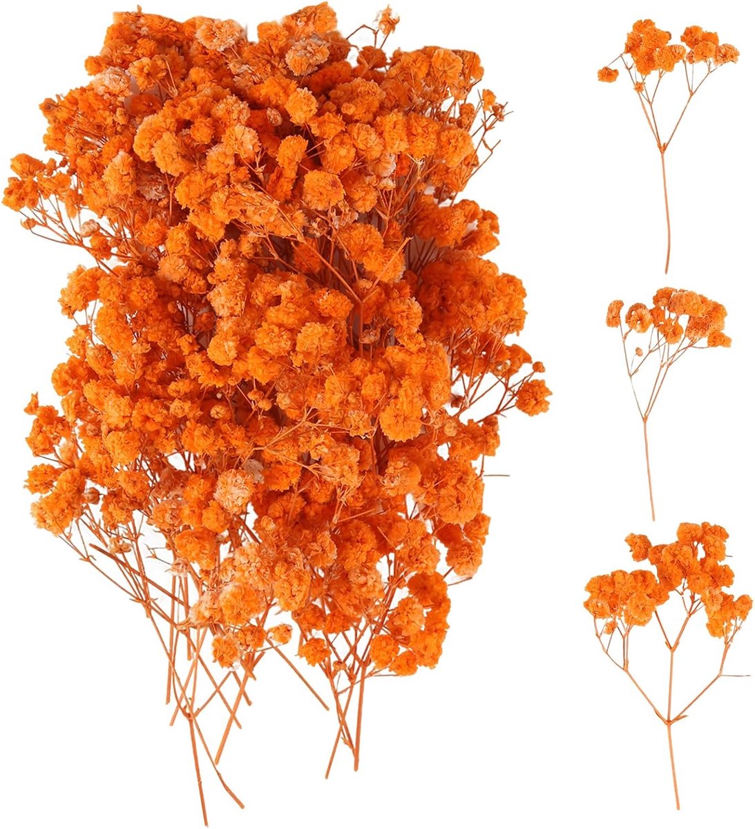 100 stuks gedroogde bloemen, natuurlijke gedroogde bloemen, kleurbestendig, mini gypsophila gedroogd voor botanische - ShopVlot
