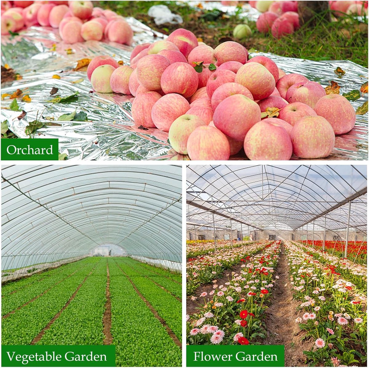 Plant Reflective Film, Silver Blanket, High Reflective Covering Foil Sheet for Greenhouse Plant Growth (160cm X 210cm) - ShopVlot