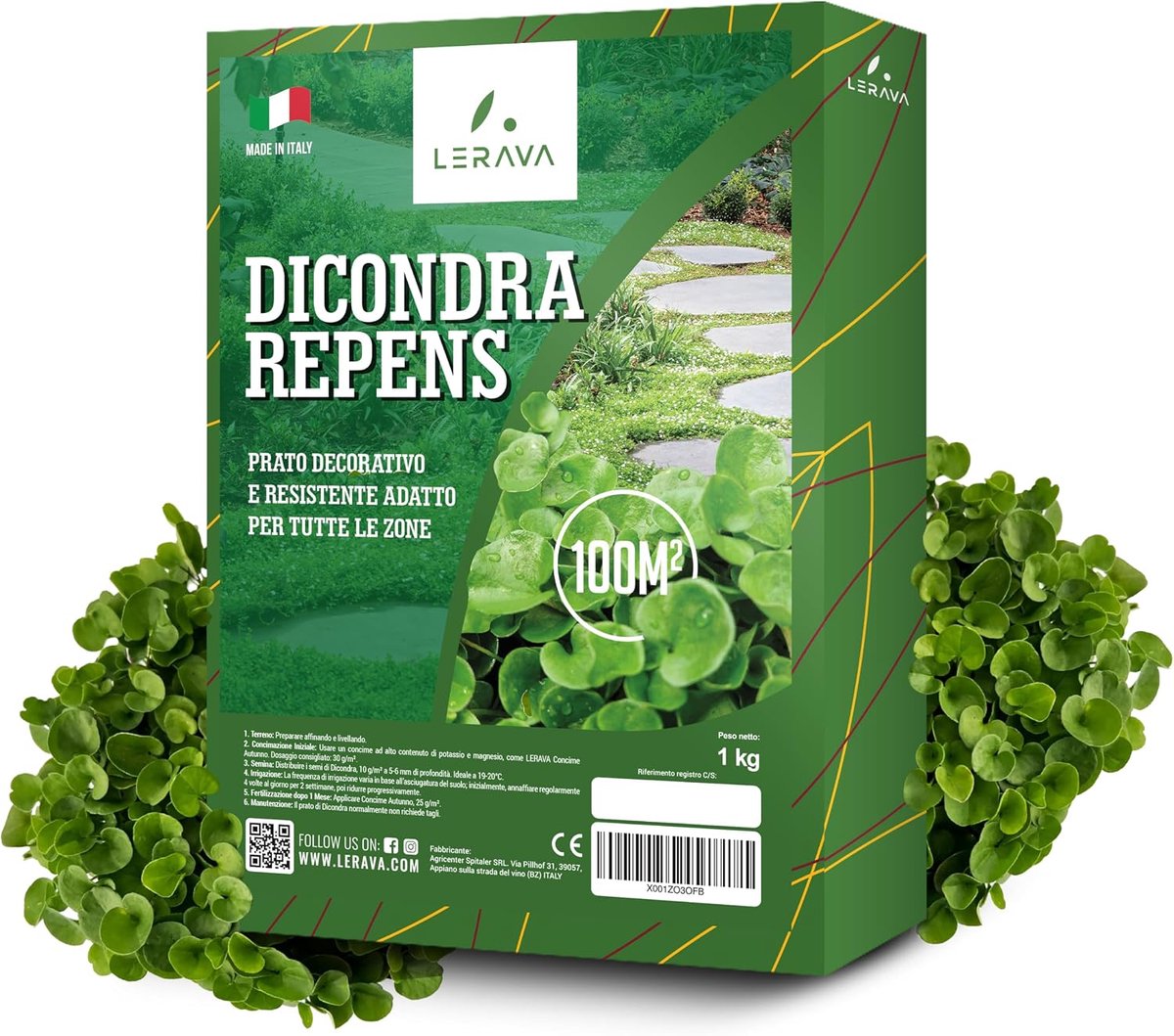 LERAVA Dichondra repens seeds (40m2) - No lawn mowing requirement - Weatherproof & low maintenance grass seed - ShopVlot