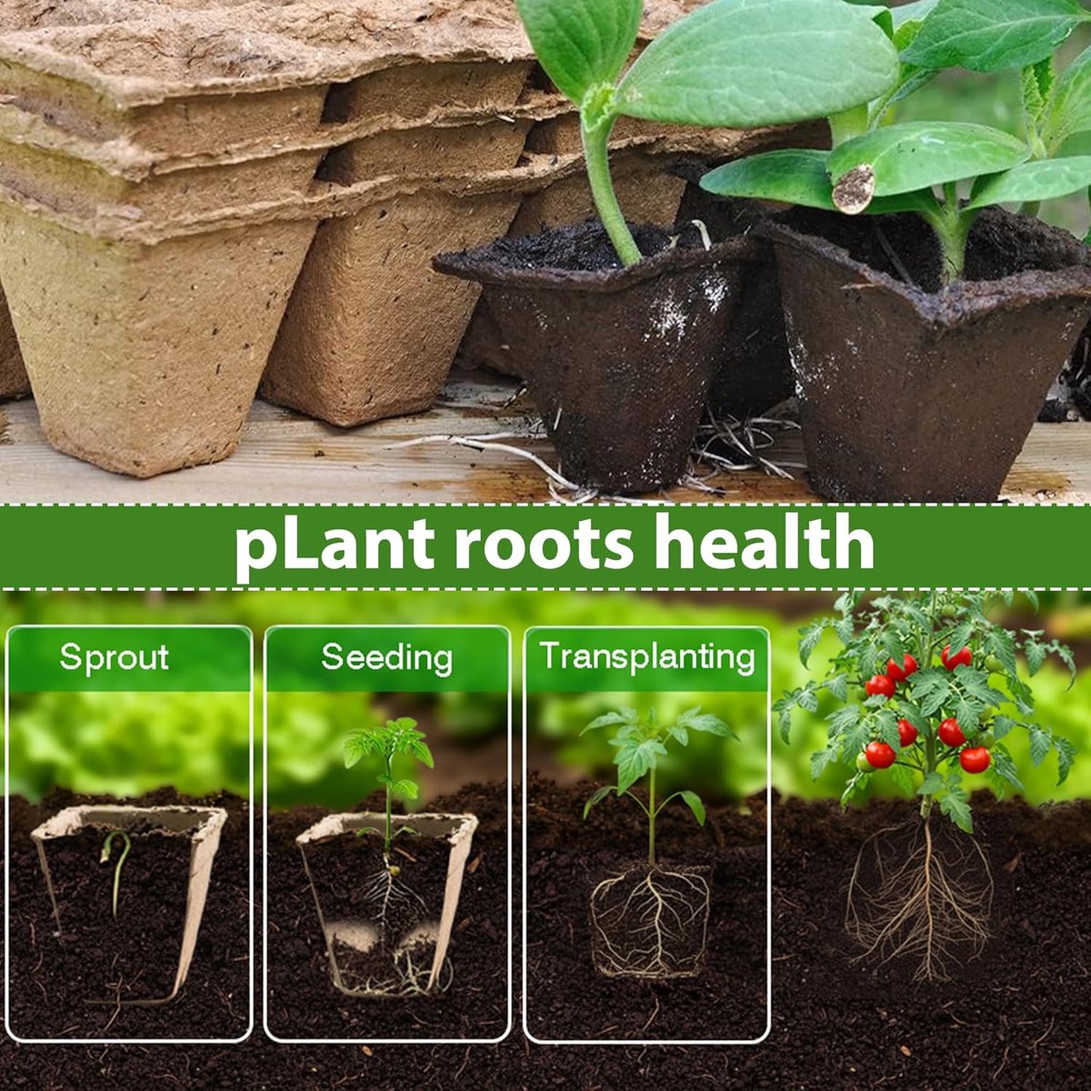 Biodegradable Fibre Seed Pot Seed Pot Seed Pot Seed Pot Seed Pot Seed Pot Seed Pot with Hole in the Bottom Suitable - ShopVlot