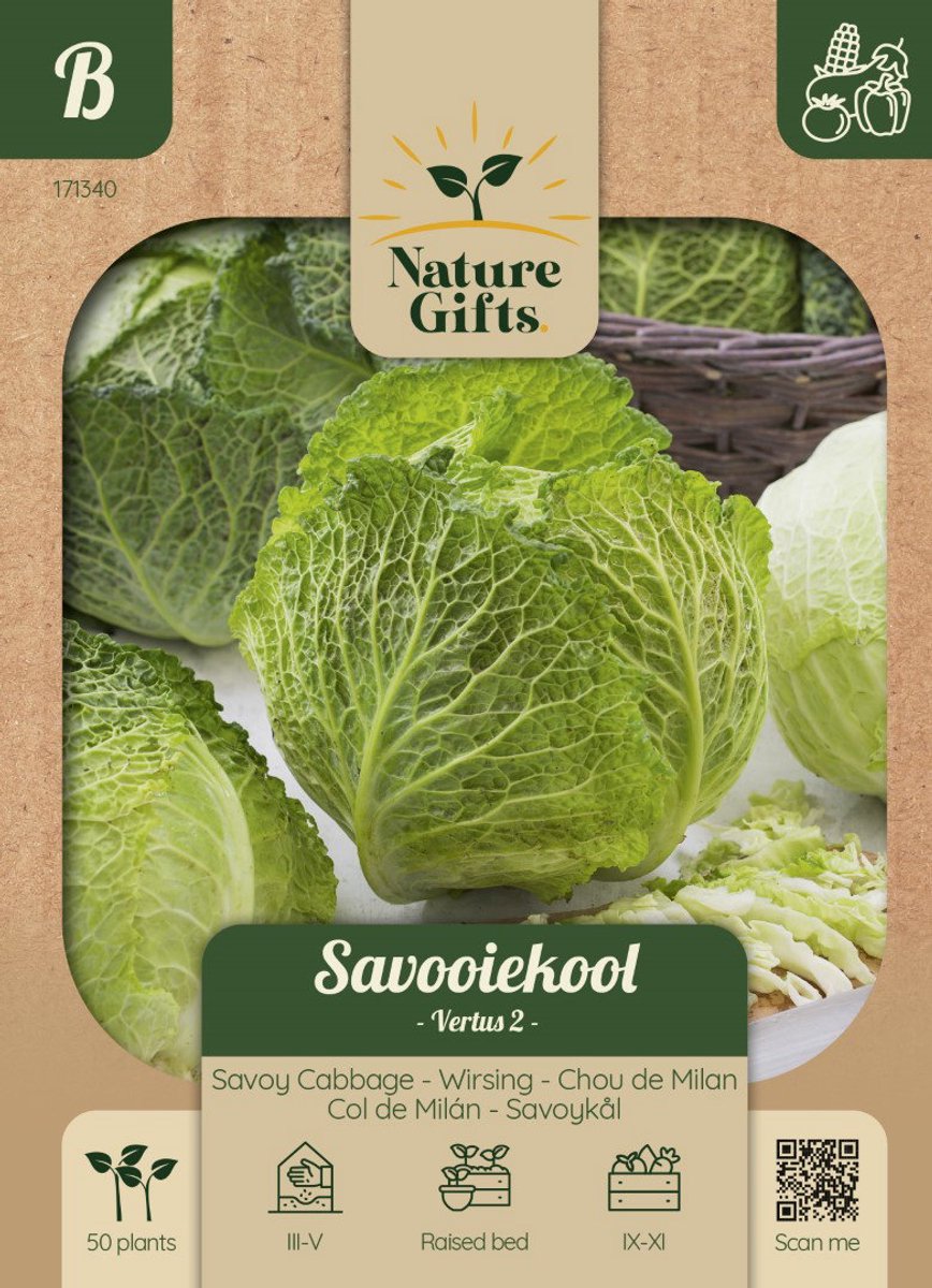 Savooiekool Vertus 2 groentenzaad Nature Gifts Baltus