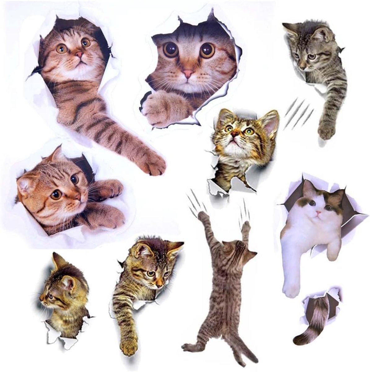 cat sticker wall 3D removable wall sticker for car window toilet bathroom bedroom nursery kitchen wall decor - ShopVlot