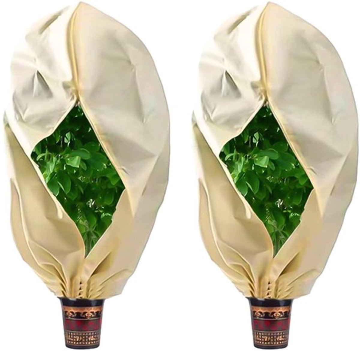 Allecto - Planten-vorstbeschermhoezen - Winterbescherming - Beige