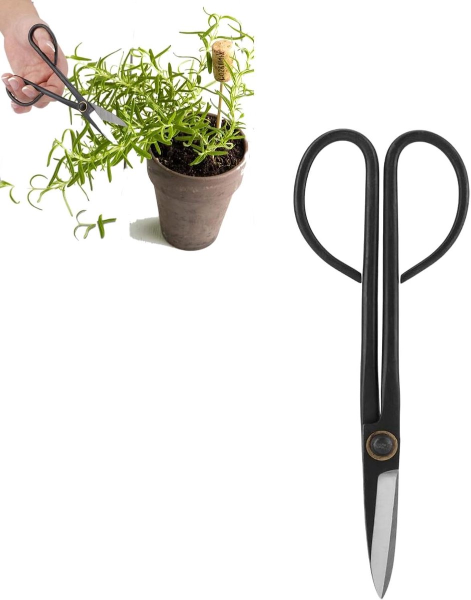 Bonsaïschaar Lange Steel - Snoeigereedschap Tuin - Verfijnen Planten - Ergonomische Handgreep - 205mm - Zilverkleurig