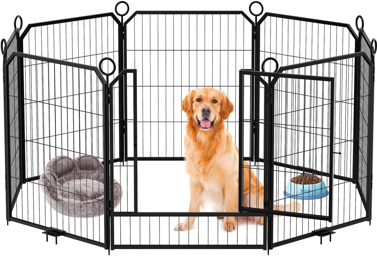 Stalen Hondenren 32 Inch - 16 Delige Opvouwbare Hondenkooi voor Binnen & Buiten - Grote Dierenren met Verstelbare Vormen - Inklapbare Hondenpen voor Middelgrote en Grote Honden - Speelren voor Puppy's, Honden, Konijnen