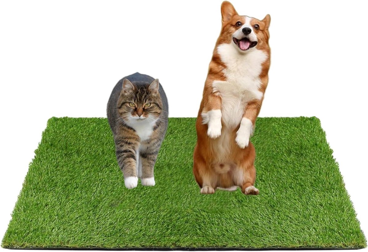 Kunstgras Hondentoilet - Puppy Toilet Mat - Zindelijkheidstraining - Snelle Vocht Afvoer - 60 x 50 cm - Groen