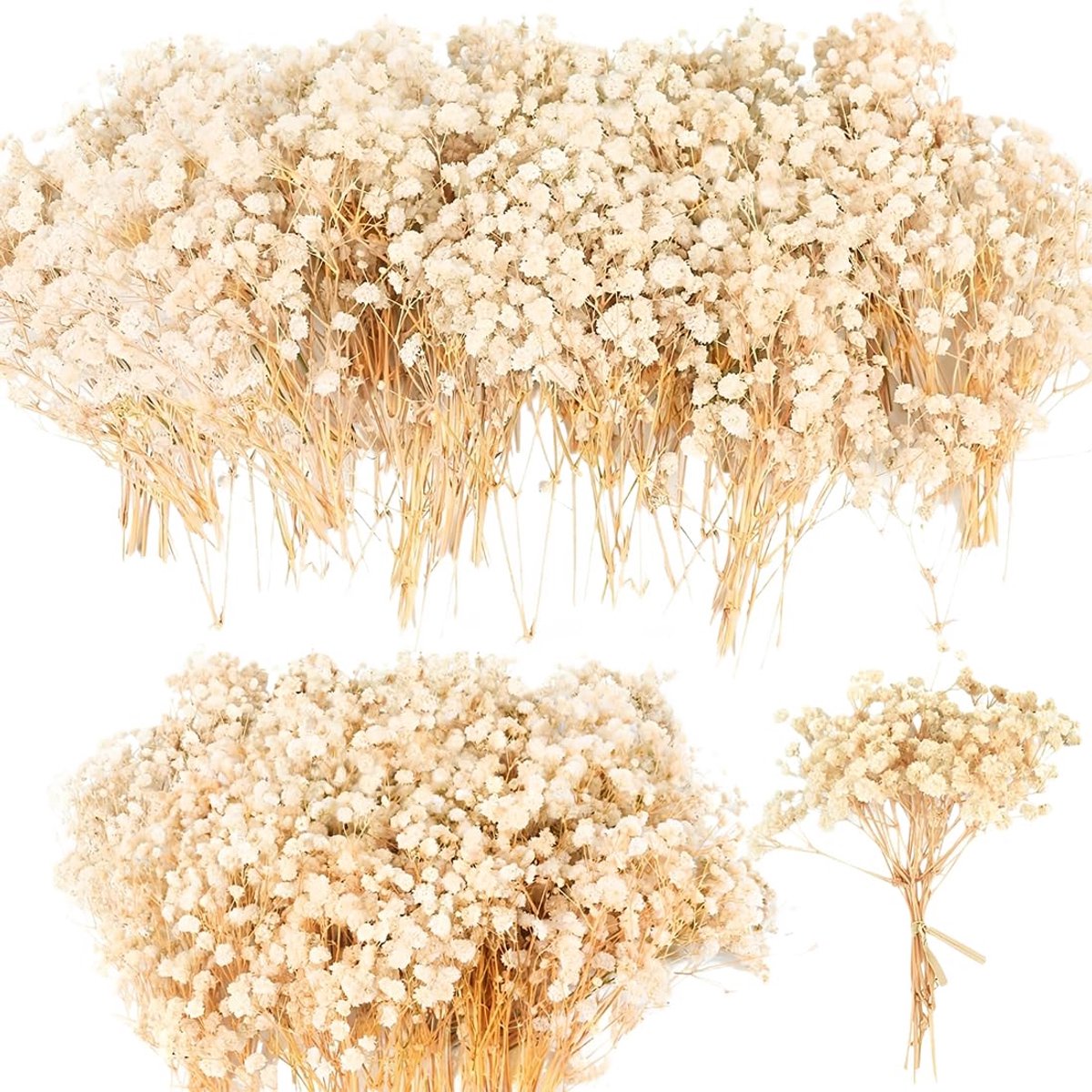 50 stuks geconserveerde paniculata-bloemen, kleine gedroogde bloemen, natuurlijke gedroogde bloemen, Gypsophila Paniculata, geperste bloemen voor knutselwerk en scrapbooking