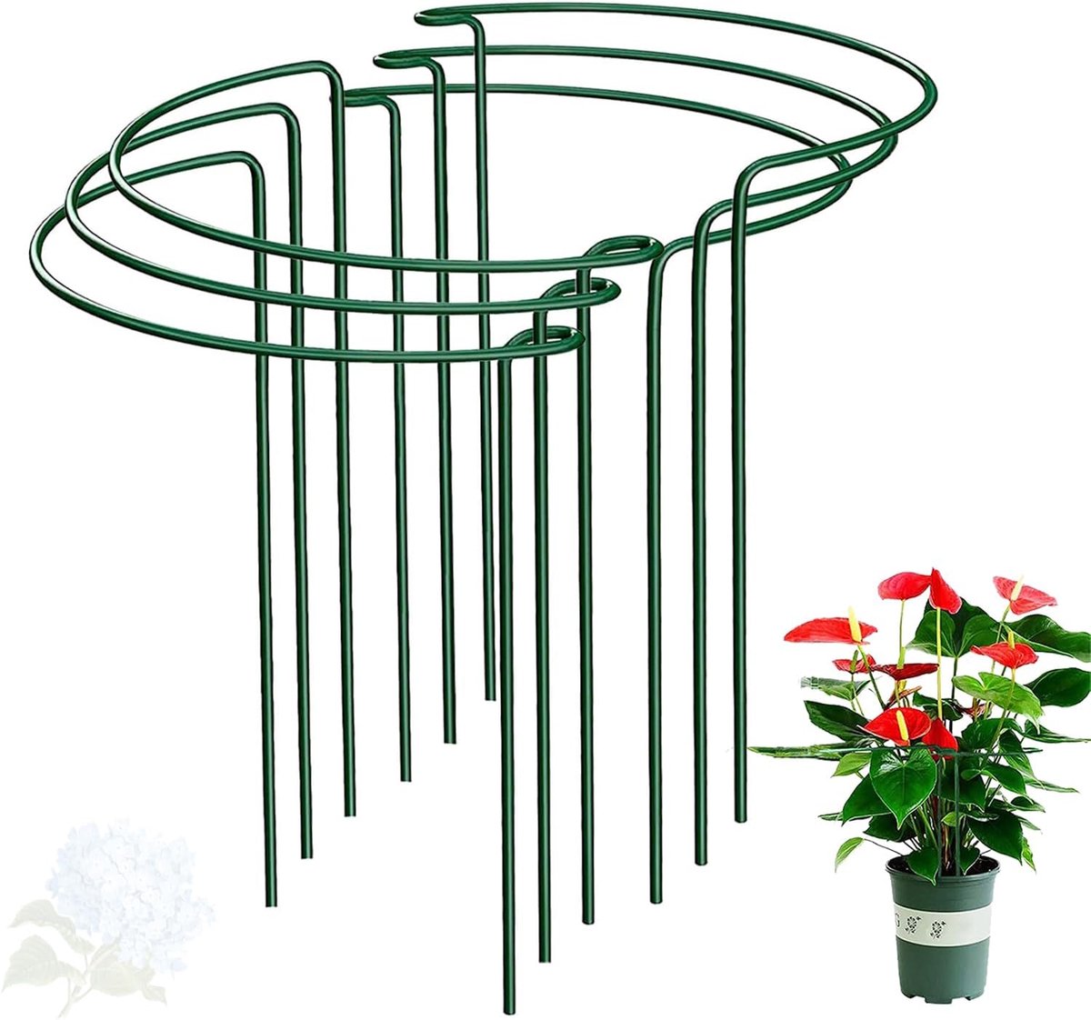 6 stuks Plantsteun – Halfronde metalen tuinsteun – Pioenenrek – 35 x 20 cm – Geschikt voor binnen- en buitenplanten (bijv. tomaten, hortensia's) – Groen