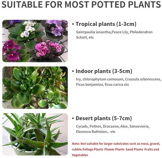 Plantaardige bodemvochtigheidsmeter - succulent watertekort herinnering - vochtigheidsgereedschap voor kamerplanten - verzorging - bodemtester - plant watermeter - wit van Merkloos	 — afbeelding 4