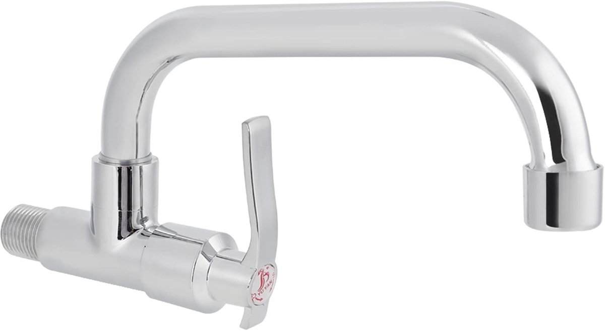 Solidchoice - Wandgemonteerde Koude Gootsteen Kraan Draaibaar 25cm