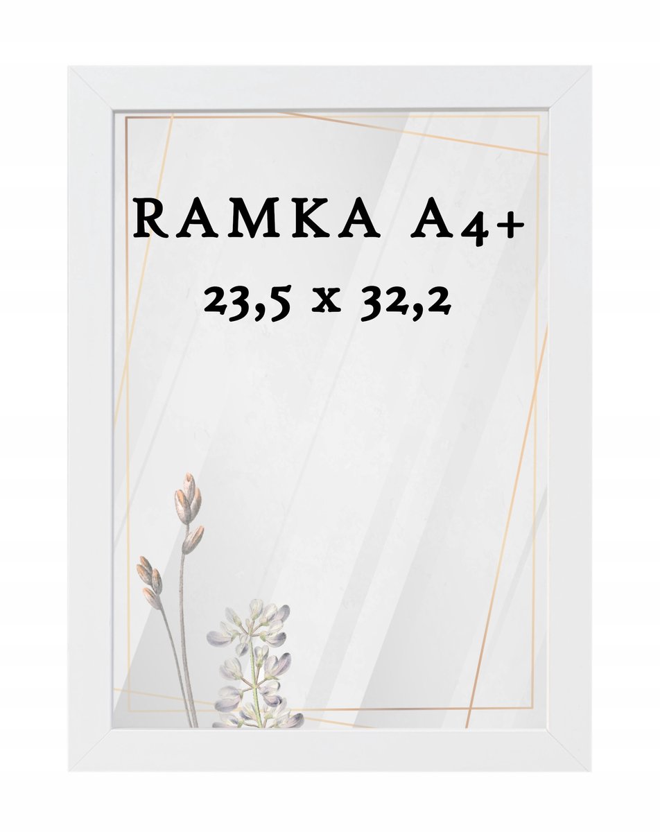 Witte A4+ Fotolijst 23,5x32,2 cm Daisy - Certificaat & Diploma