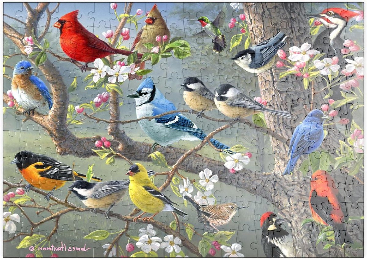 200 Stukken Puzzel Kleurrijke Vogels in Bloesemboom