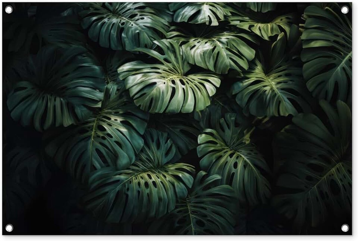 Tuinposter 90x60 cm Balkon Tuindecoratie Poster Garden Outdoor Posters Tuin Decoratie Tuinposters Voor Buiten Terras Tuinmuurdecoratie Plant - Monstera - Lichtinval