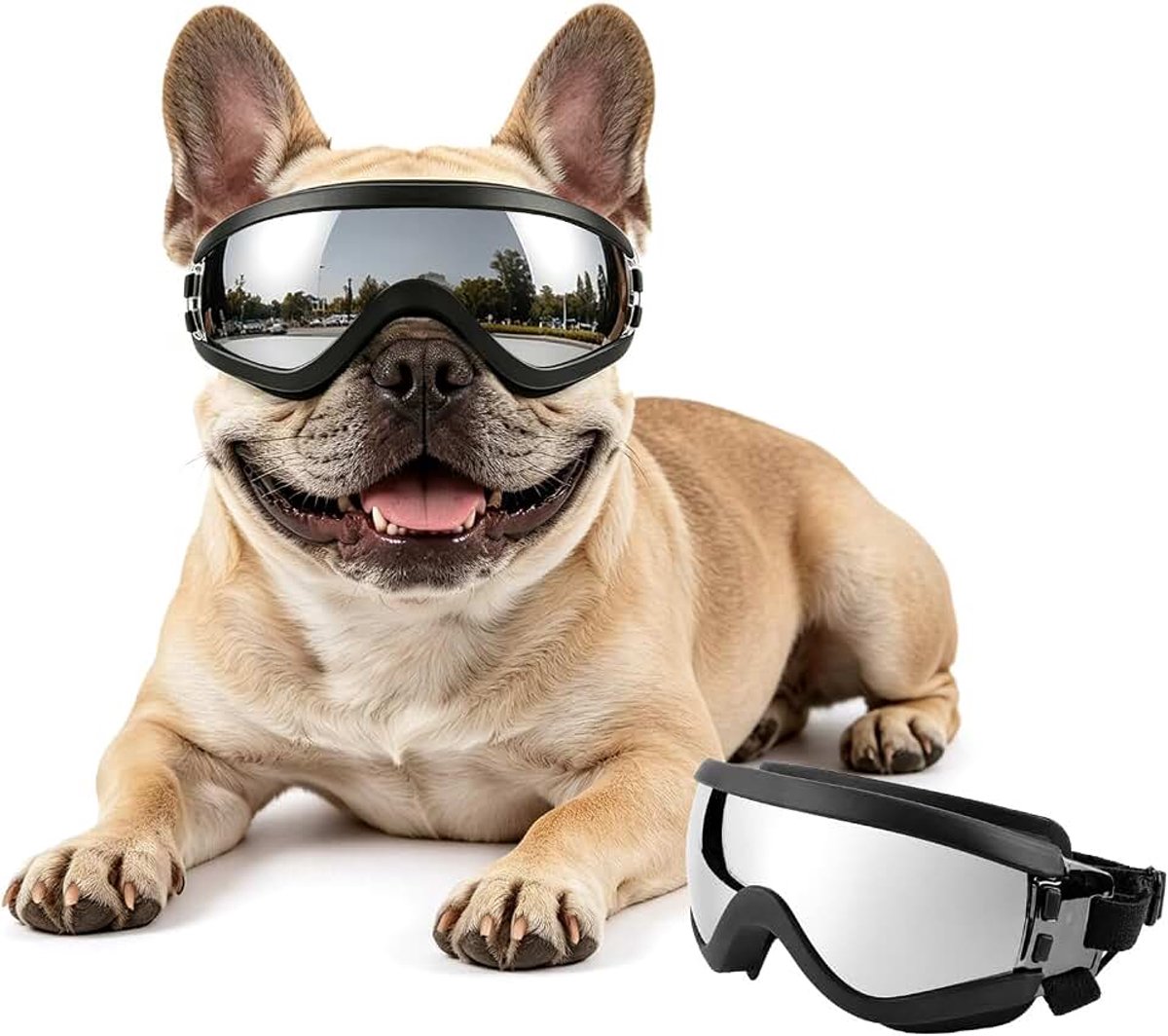 Hondenbril voor middelgrote honden, anti-UV, winddicht, hondenmotorbril met verstelbaar rubberen bandje, hondenzonnebril voor middelgrote rassen, zilver, M