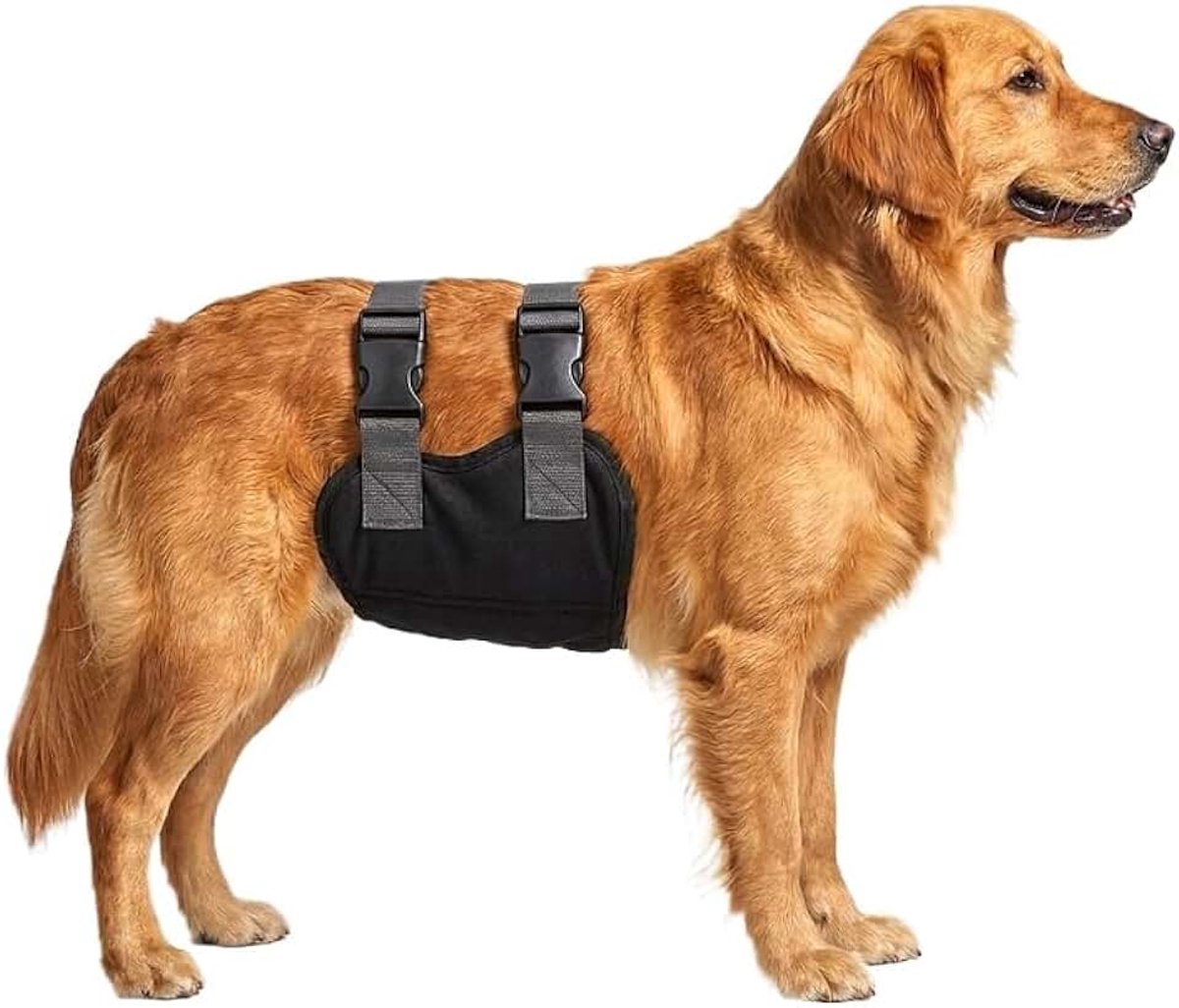 Luiers voor mannetjes, wasbare buikband voor reuen met dubbele minimalistische smalle bandjes, plaswraps voor honden bij incontinentie of opwindend urineren en trainen (zwart, maat M)